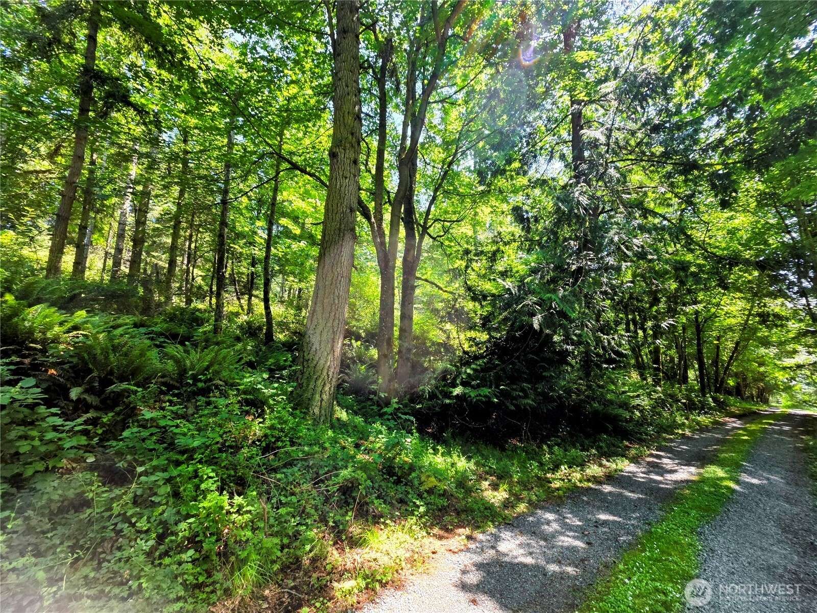 Camano Island, WA 98282,0 NHN Amber View PL