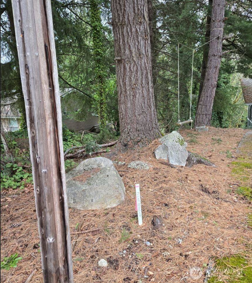 Bellevue, WA 98006,4684 152nd PL SE