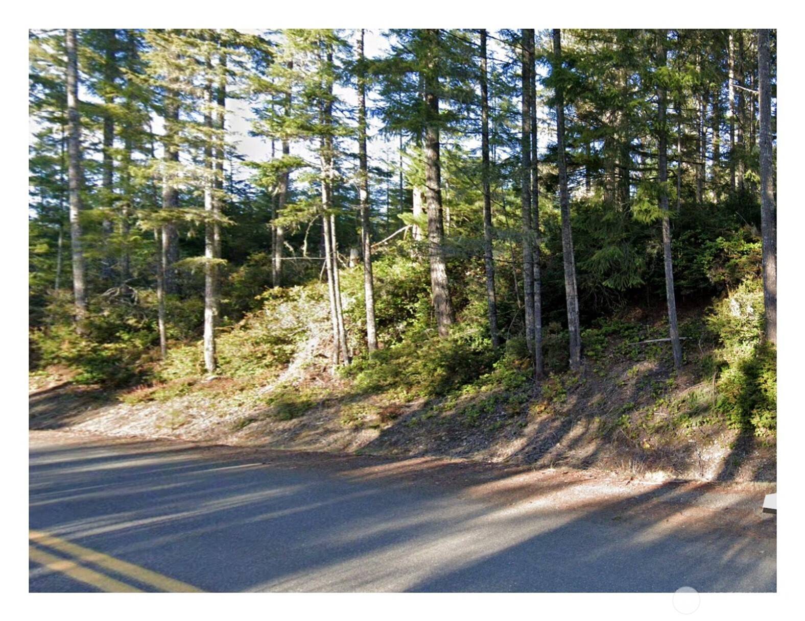 Belfair, WA 98528,0 NE Tahuya Blacksmith RD