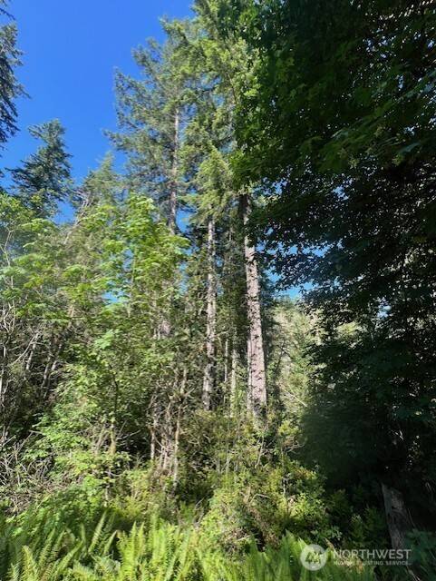 Belfair, WA 98528,0 NE Tahuya Blacksmith RD