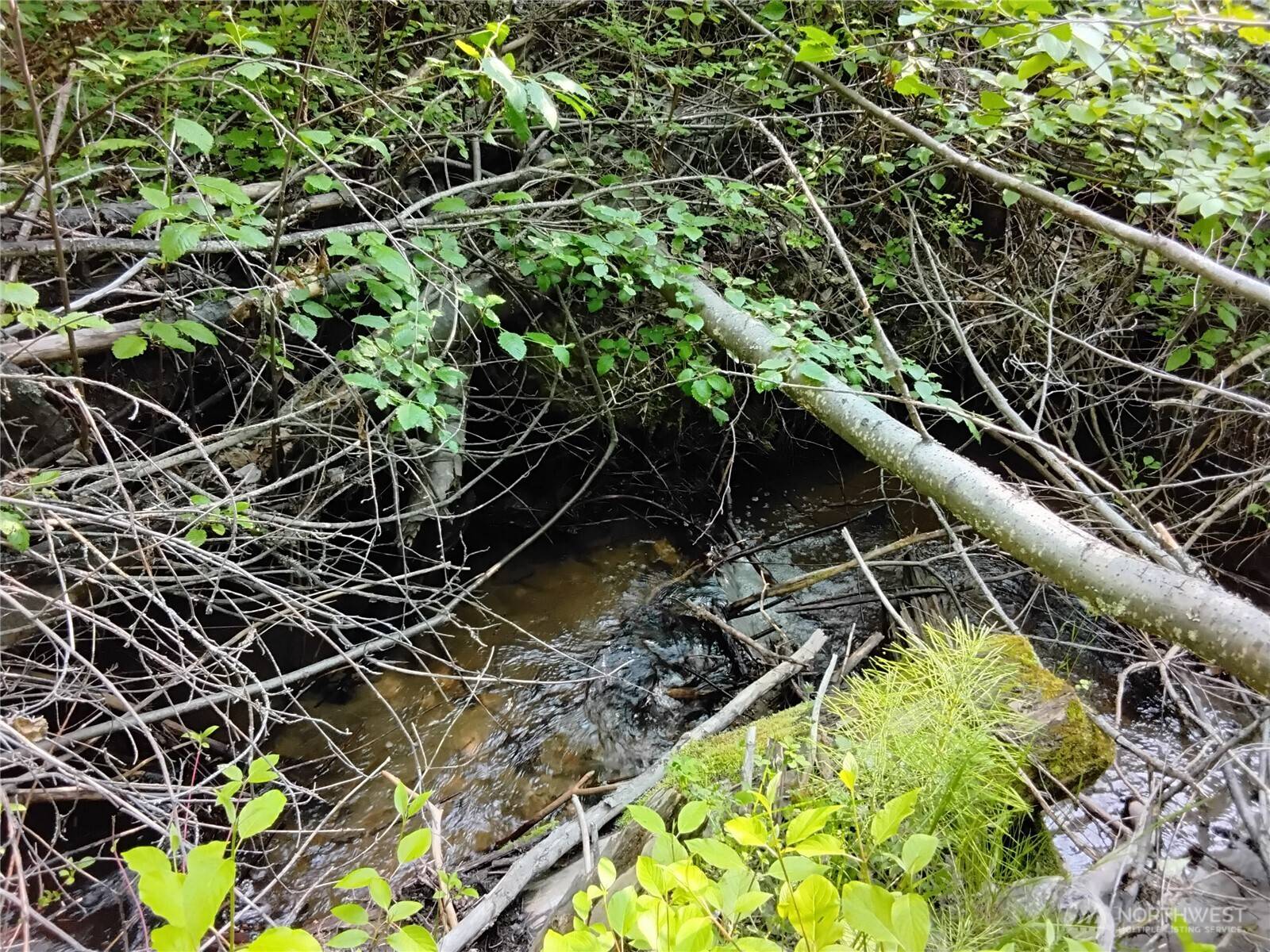 Tonasket, WA 98855,0 Siwash Creek RD