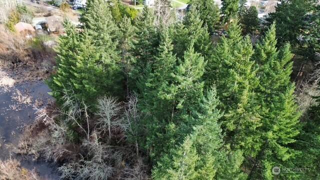 Eatonville, WA 98328,701 Iron Street Dr