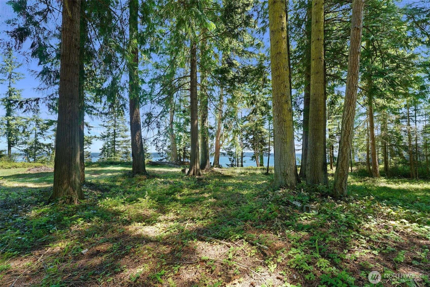Camano Island, WA 98282,2515 Bretland RD
