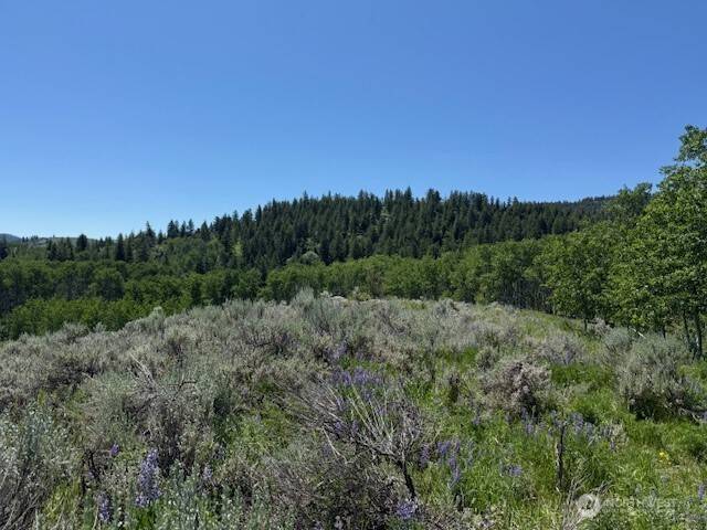 Oroville, WA 98844,111 TBD ELLEMEHAM RIDGE RD