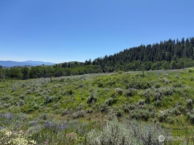 Oroville, WA 98844,111 TBD ELLEMEHAM RIDGE RD