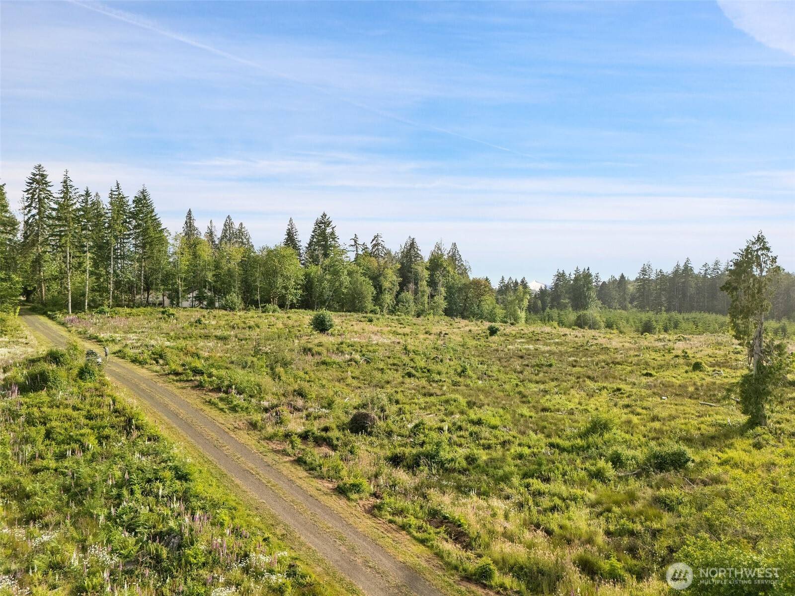 Shelton, WA 98584,0 TR2 SE Wellswood WAY