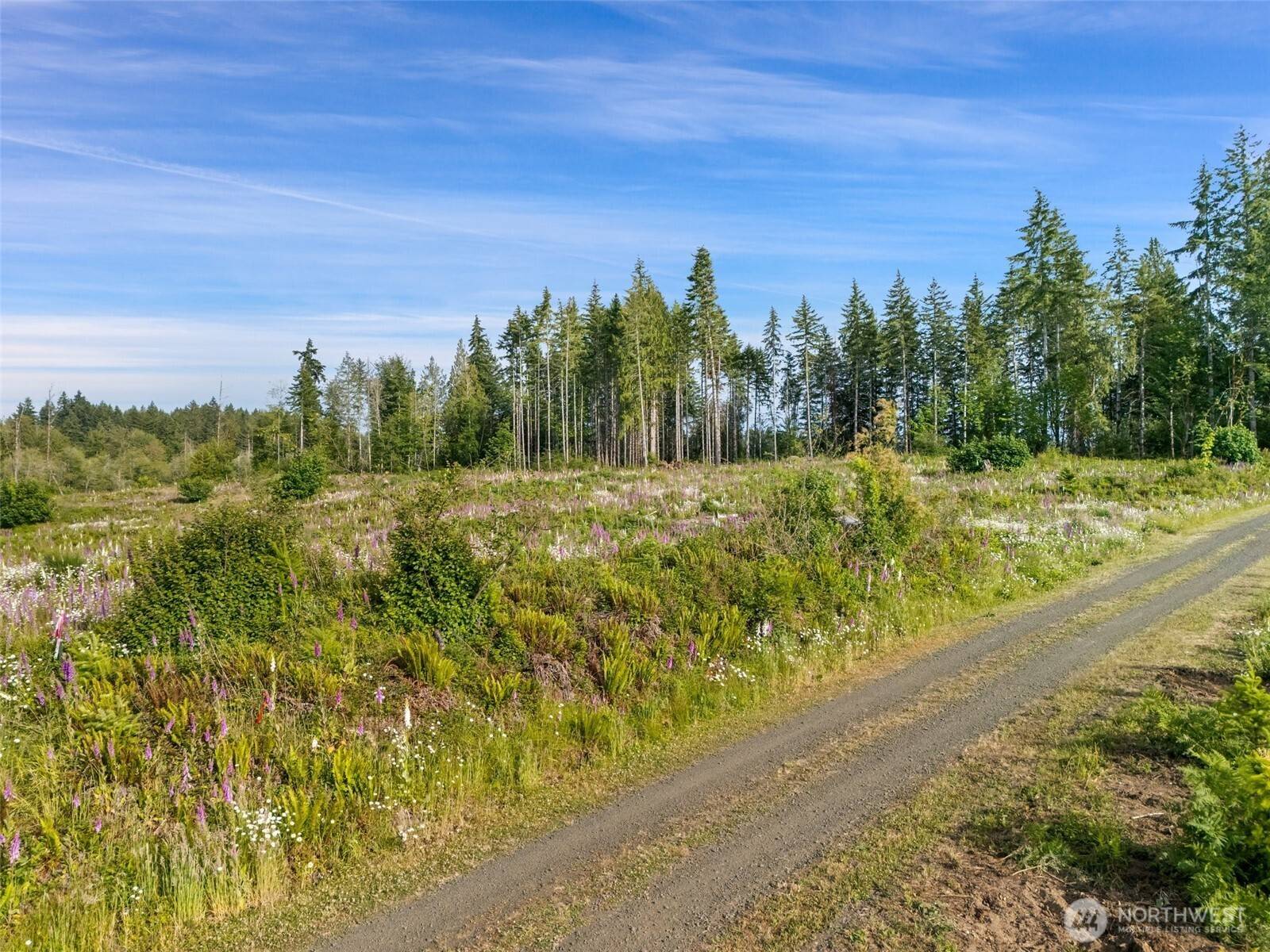 Shelton, WA 98584,0 TR 11 SE Wellswood WAY