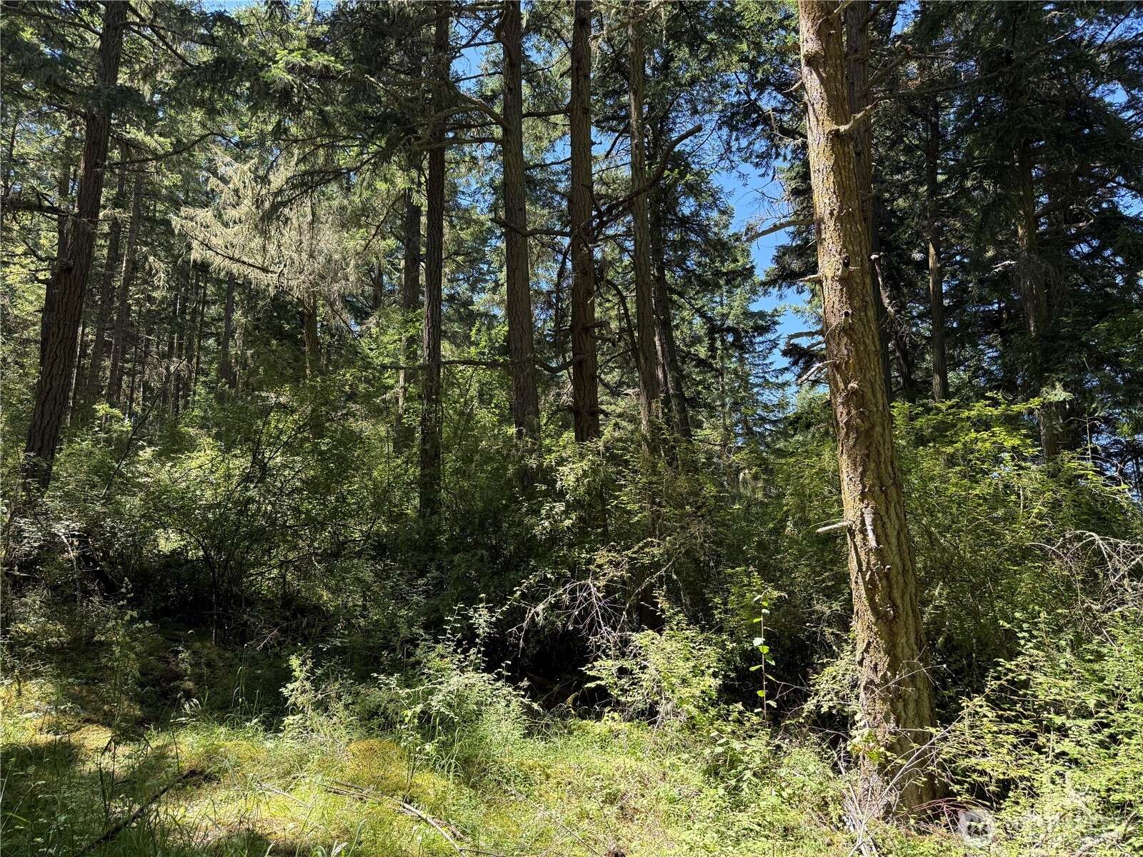Friday Harbor, WA 98250,0 Thimbleberry LN