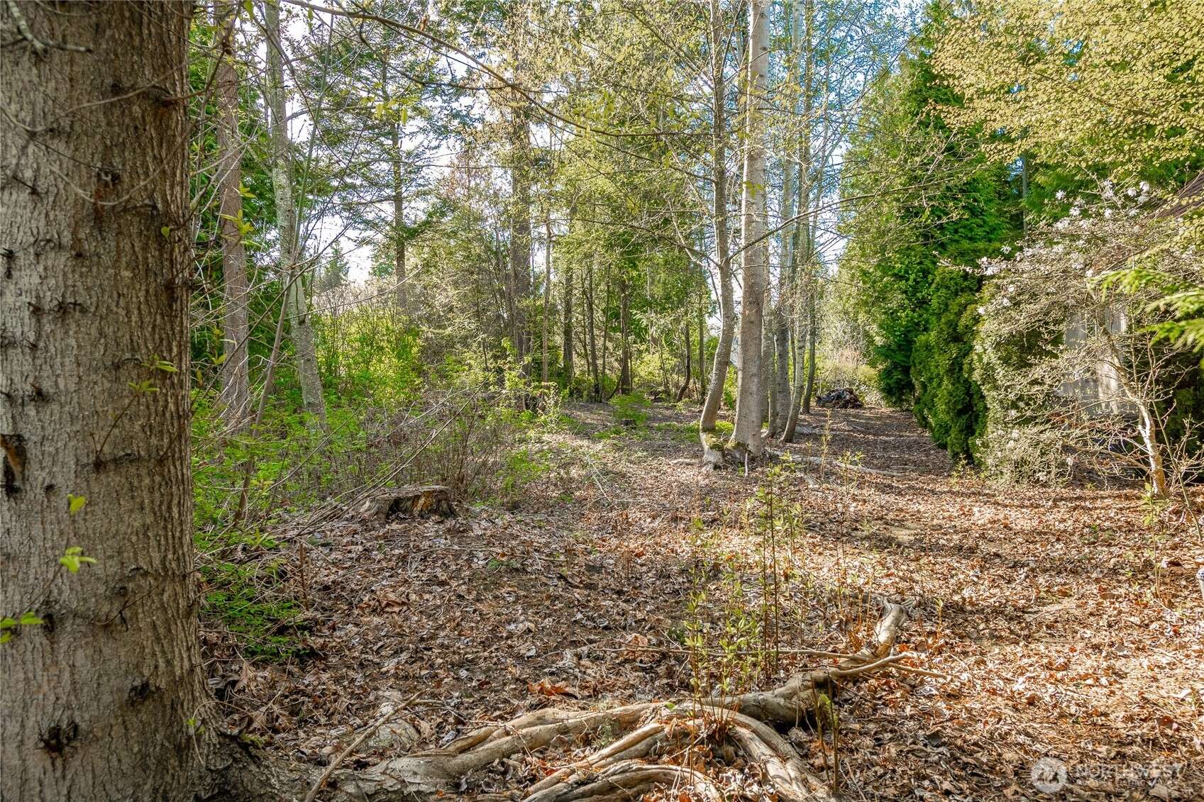 Blaine, WA 98230,8647 Great Horned Owl LN