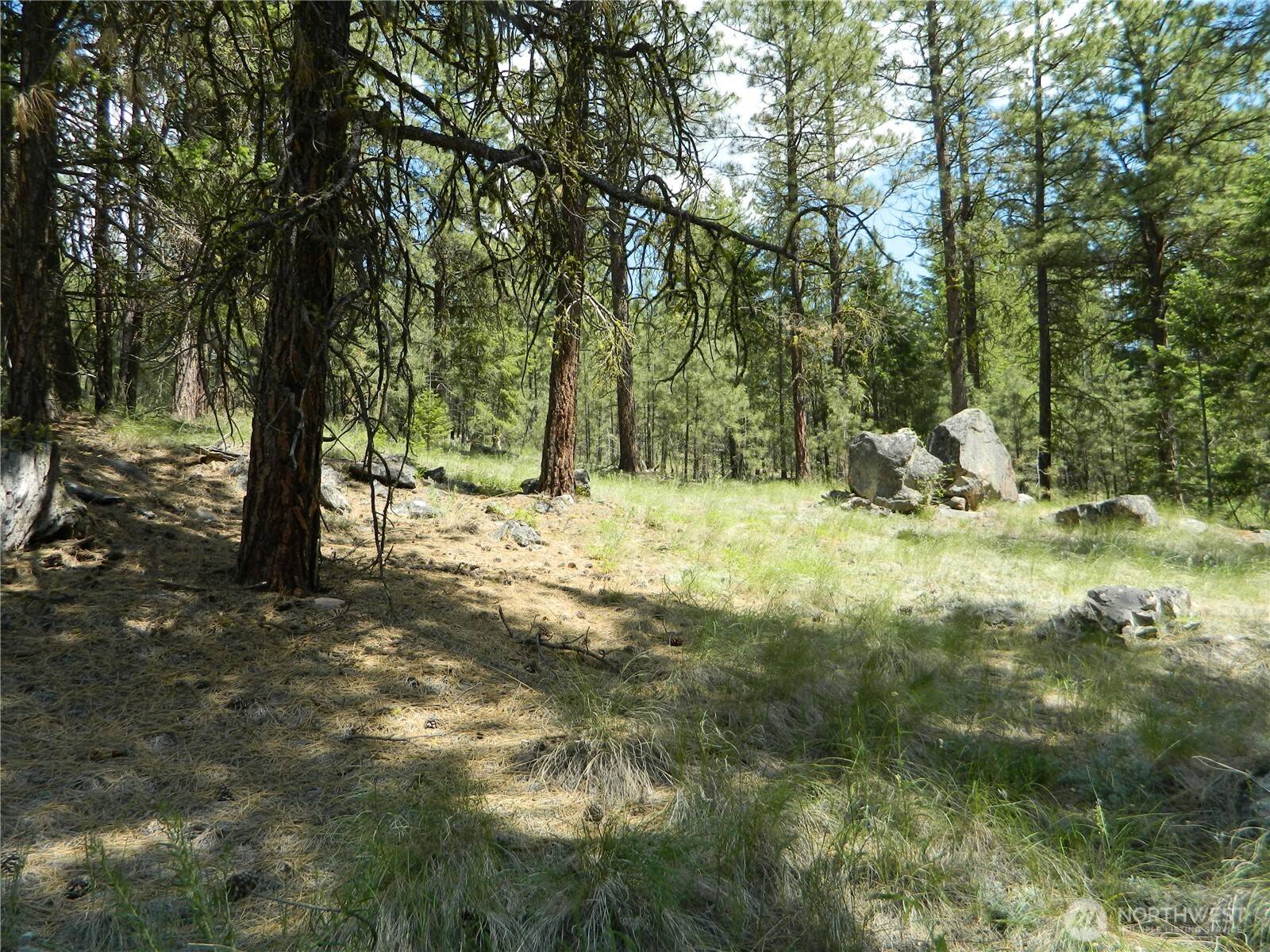 Tonasket, WA 98855,1111 TBD Cape Labelle RD