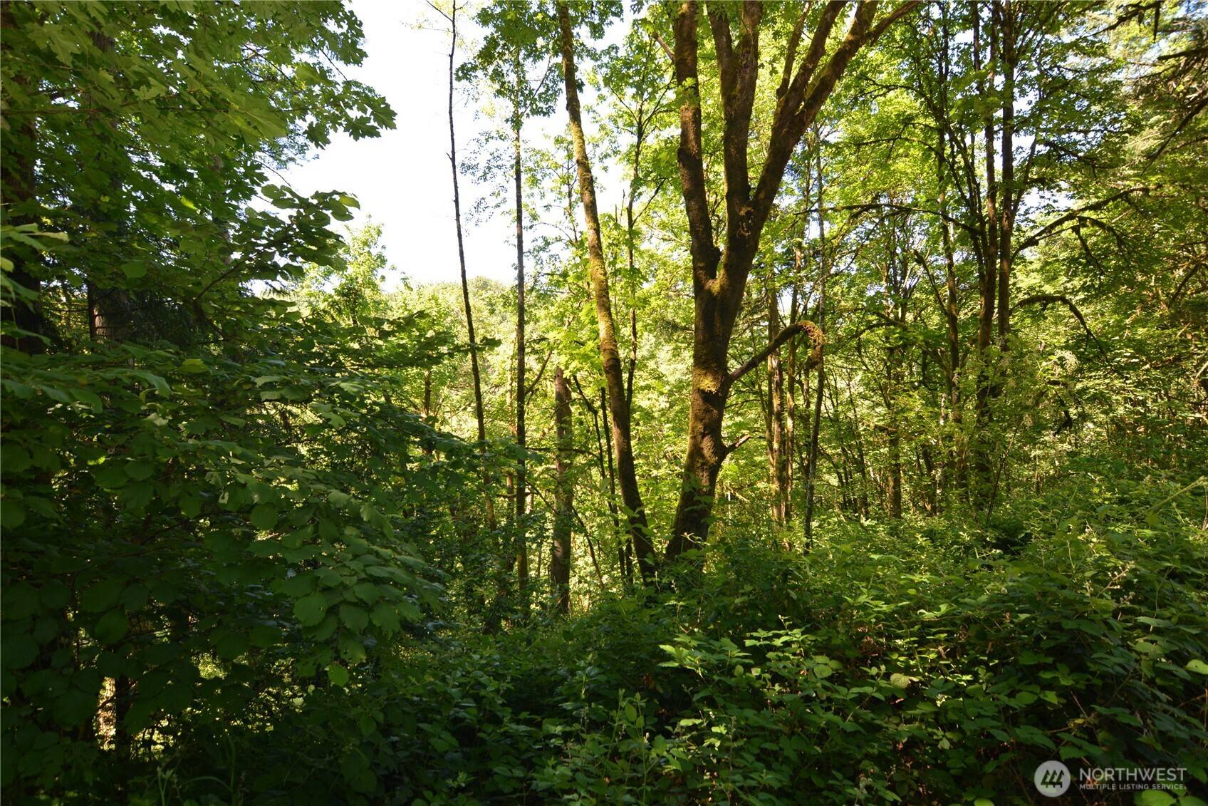 Longview, WA 98632,2429 Archwood DR