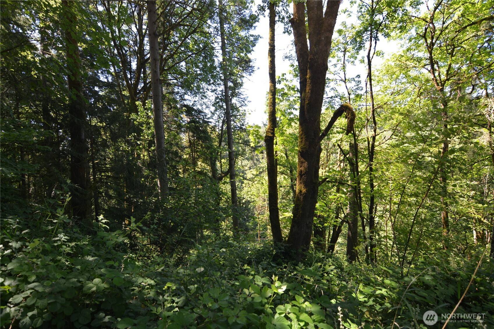 Longview, WA 98632,2429 Archwood DR