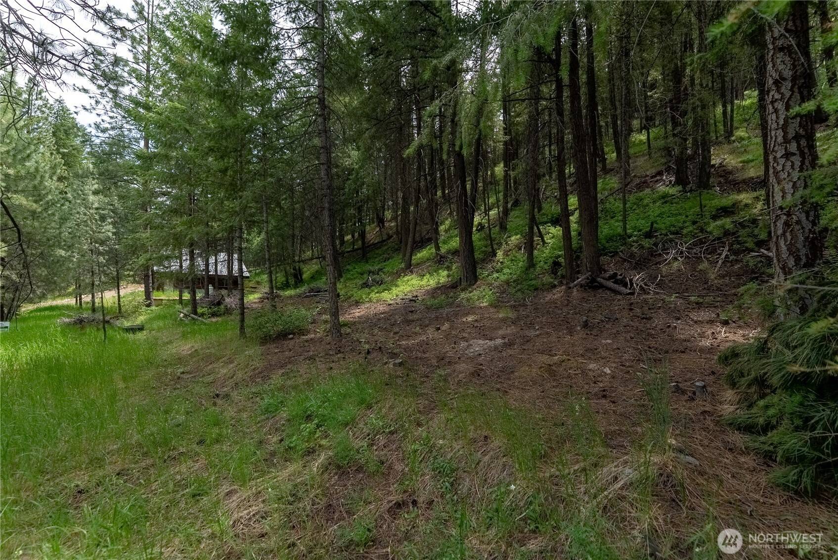 Twisp, WA 98856,7 Howerton RD