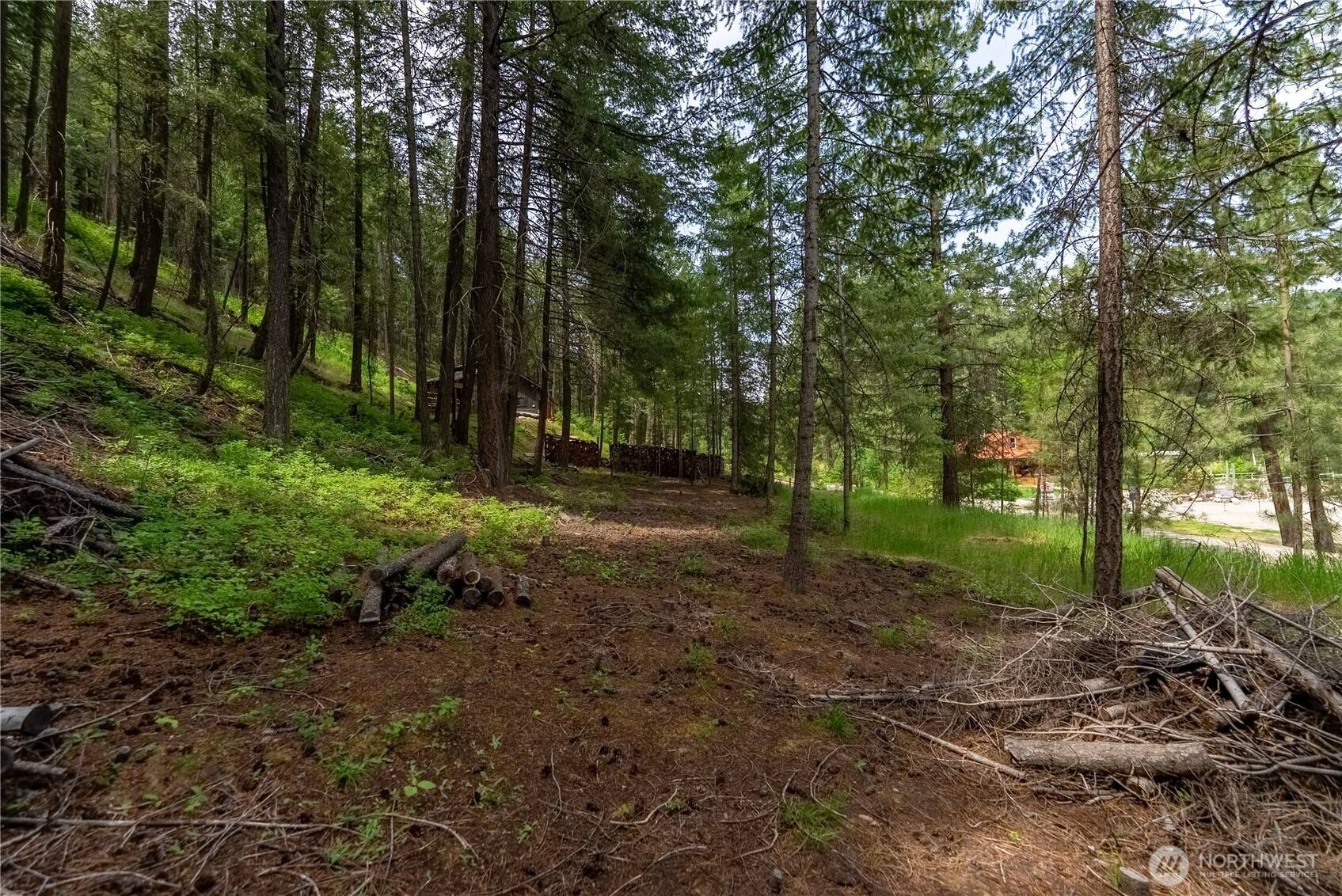 Twisp, WA 98856,7 Howerton RD