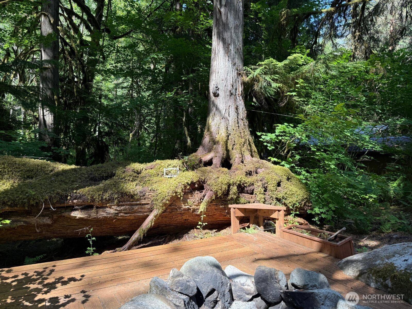 Marblemount, WA 98267,63884 Cascade River DR