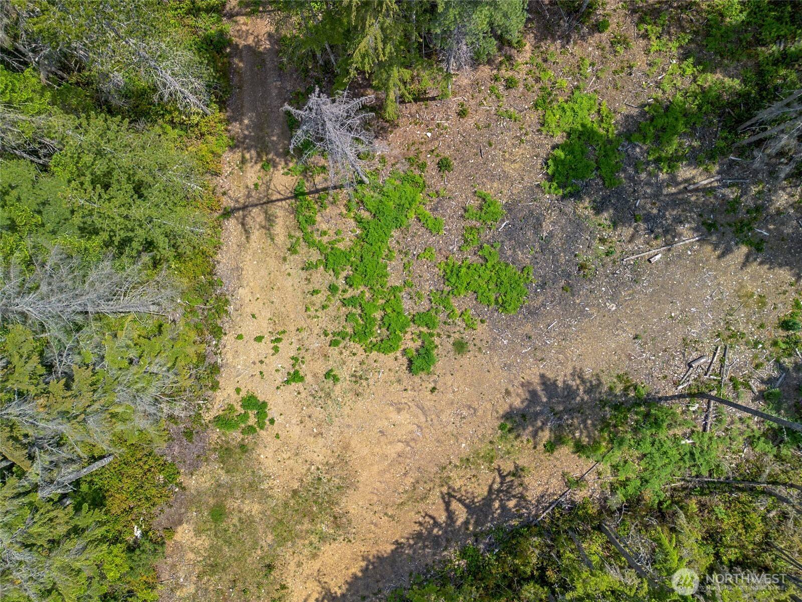 Tahuya, WA 98588,905 NE Tahuya Blacksmith RD