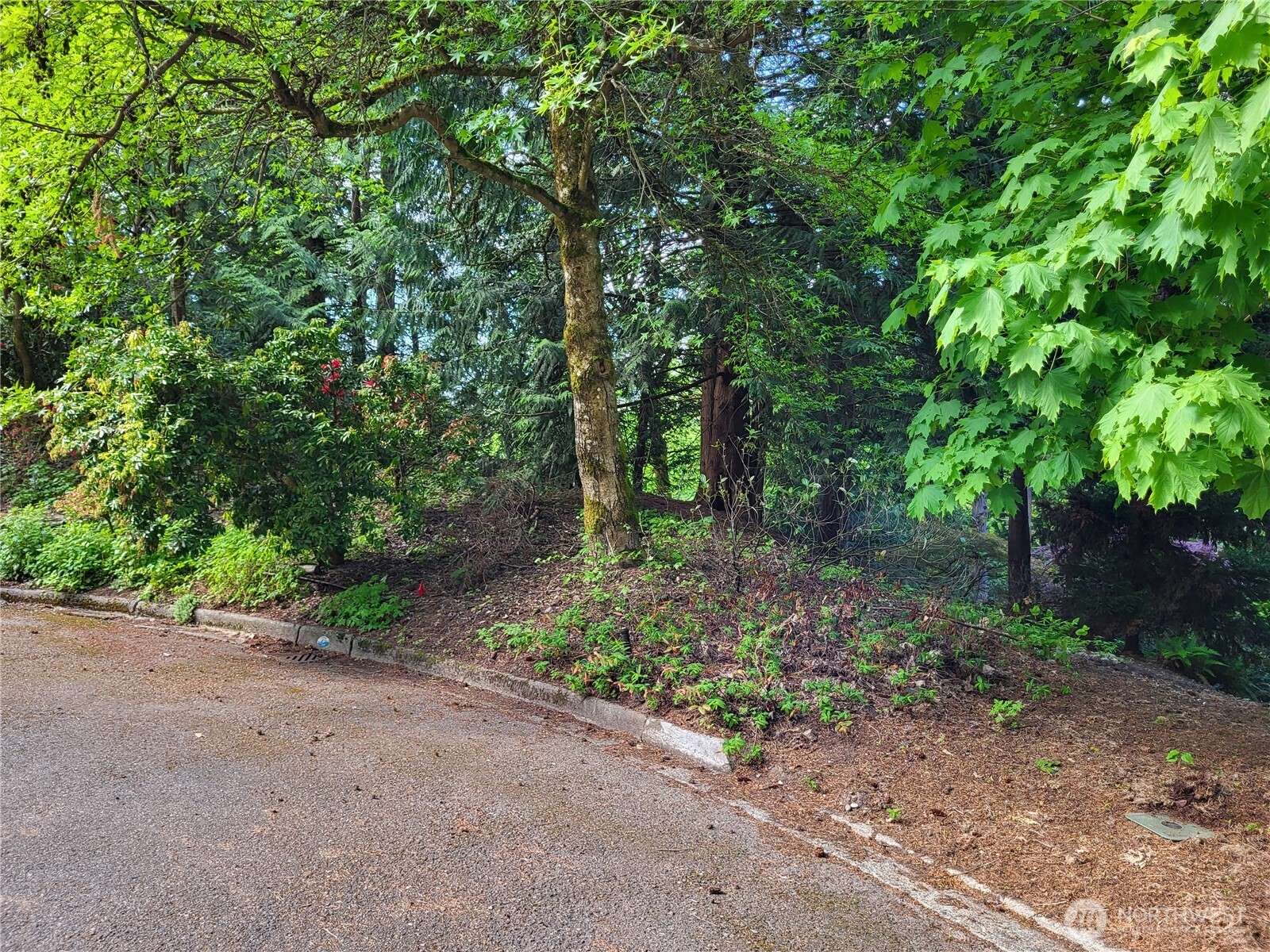 Kenmore, WA 98028,6308 NE 151st ST