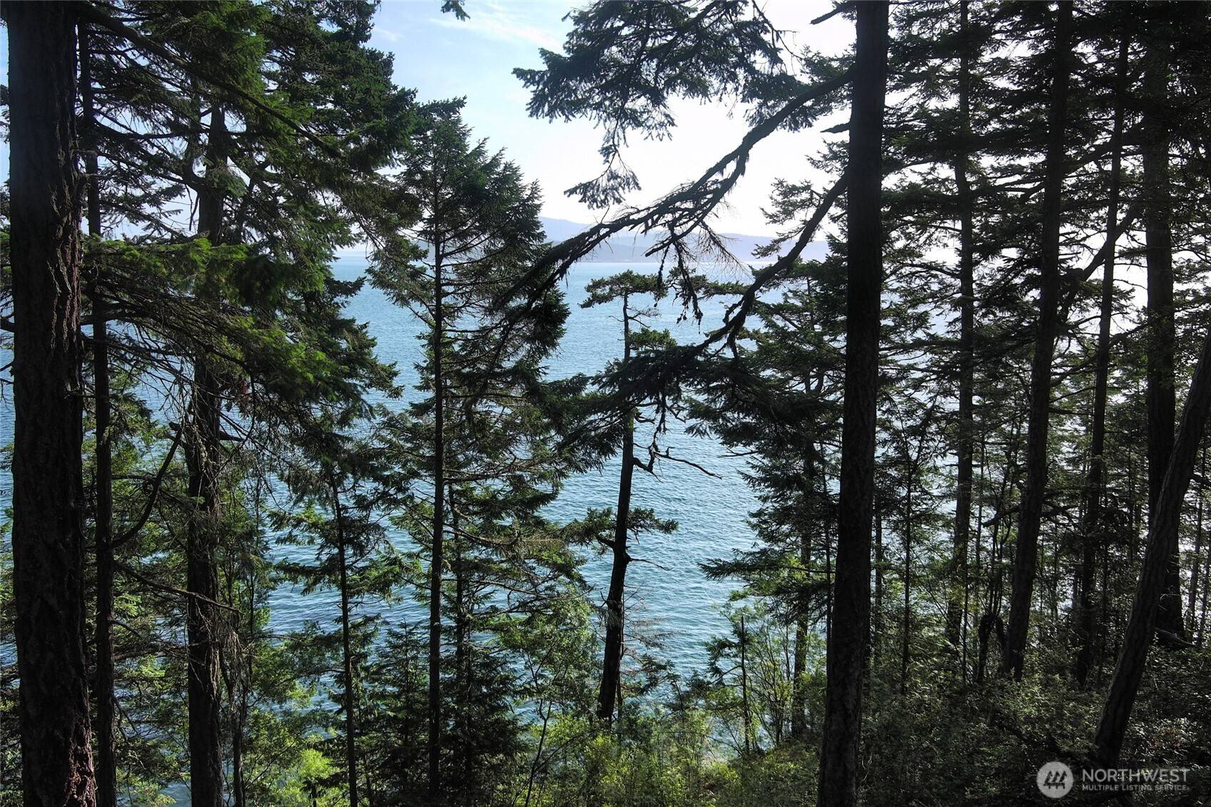 Friday Harbor, WA 98250,0 Willows LN