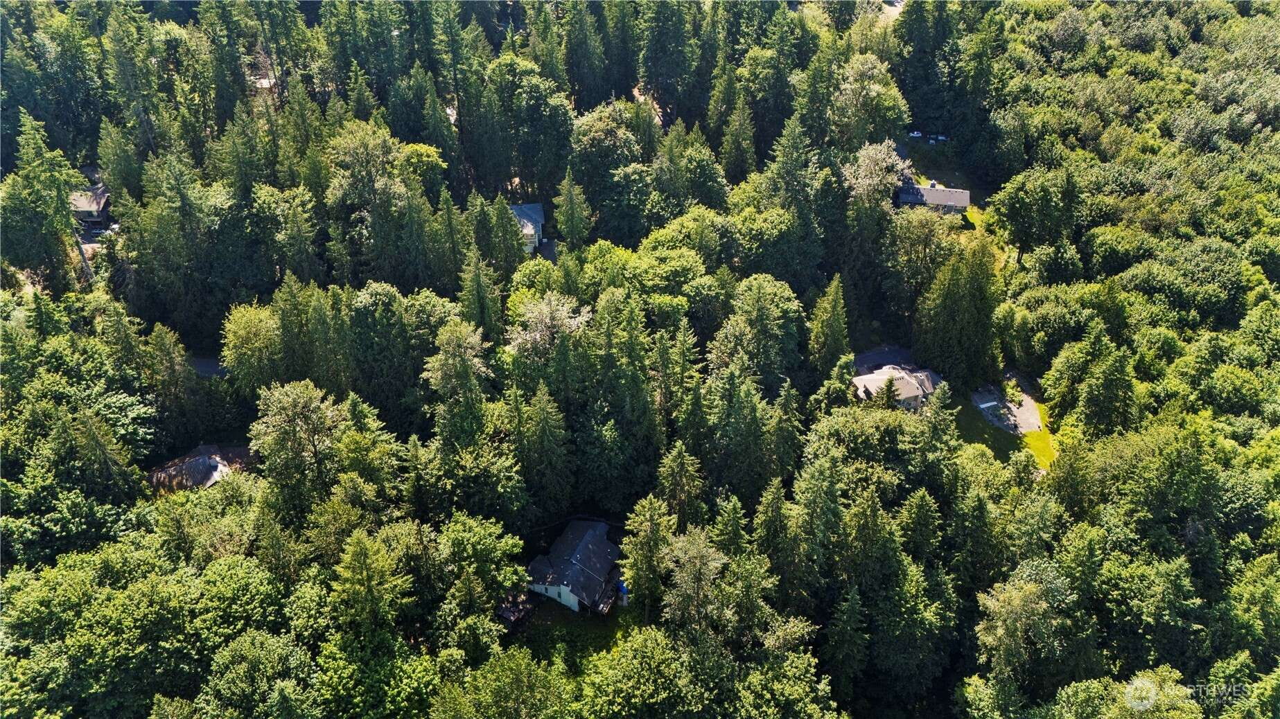 Redmond, WA 98053,5320 279th AVE NE