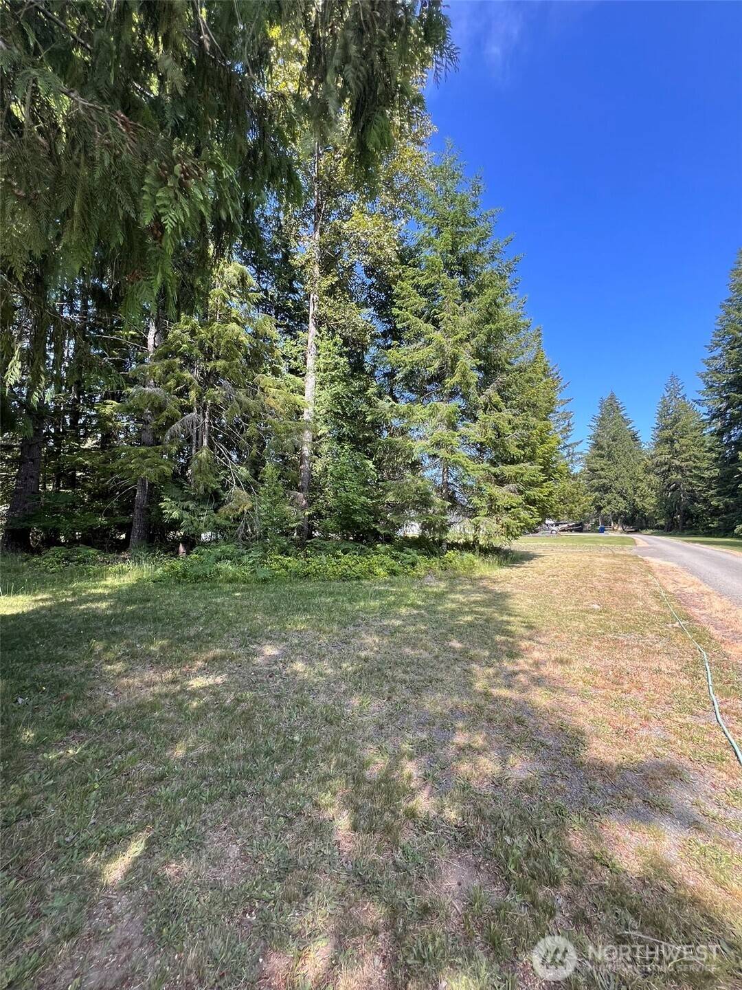 Randle, WA 98377,0 Shelton RD