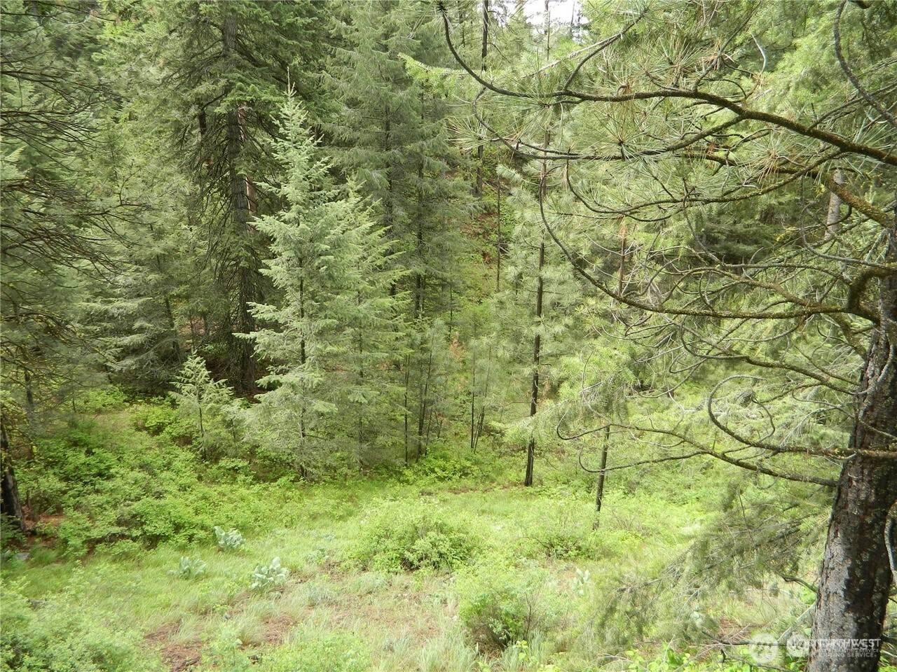 Tonasket, WA 98855,0 TBD Roundabout RD