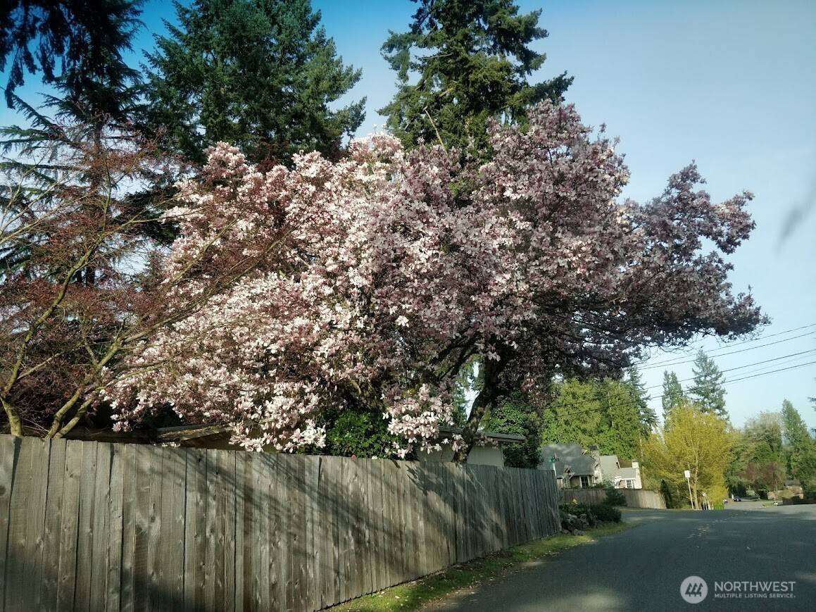 Redmond, WA 98052,8305 134th AVE NE