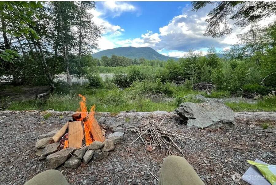 Packwood, WA 98361,118 Rainbow LN