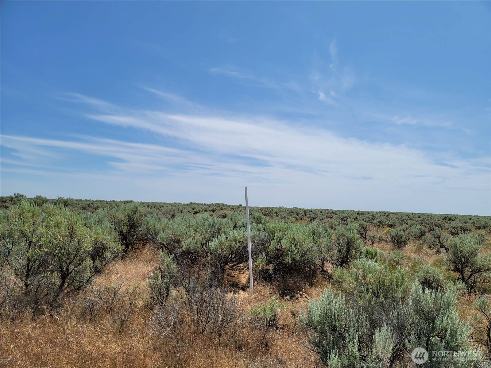Wilson Creek, WA 98860,0 Lot 116 Eagle Springs Ranch