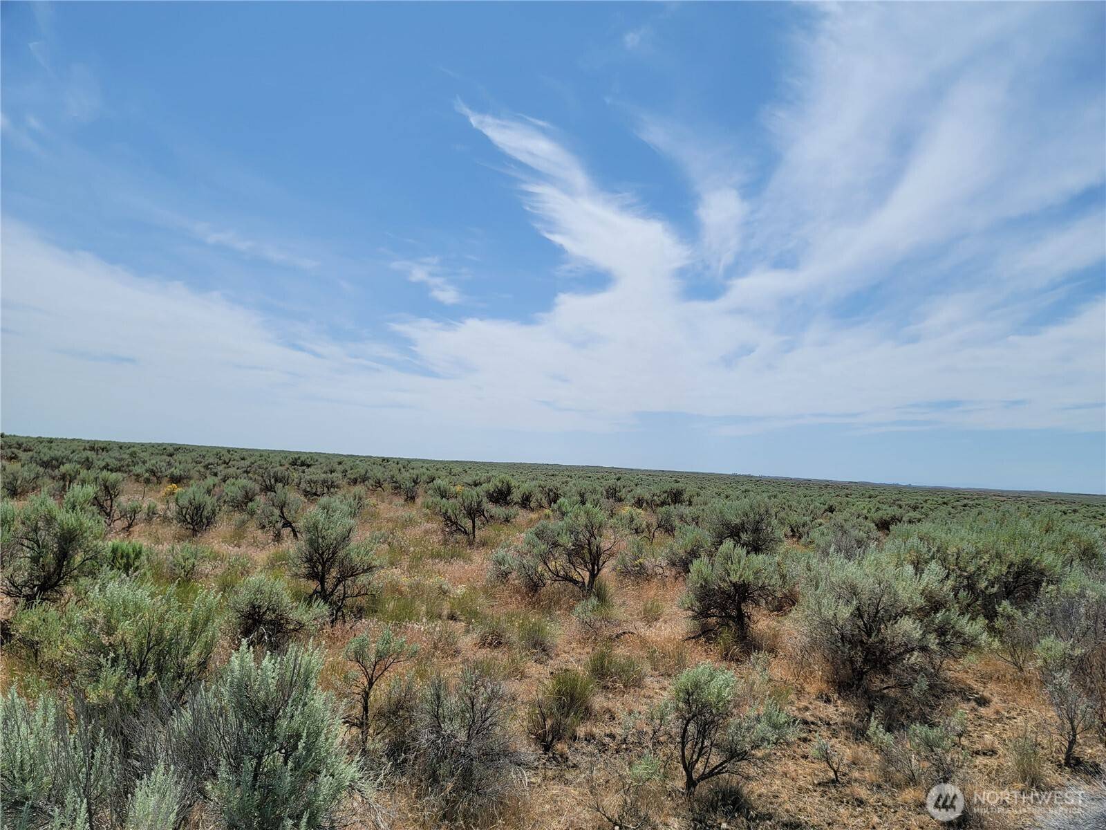Wilson Creek, WA 98860,0 Lot 116 Eagle Springs Ranch