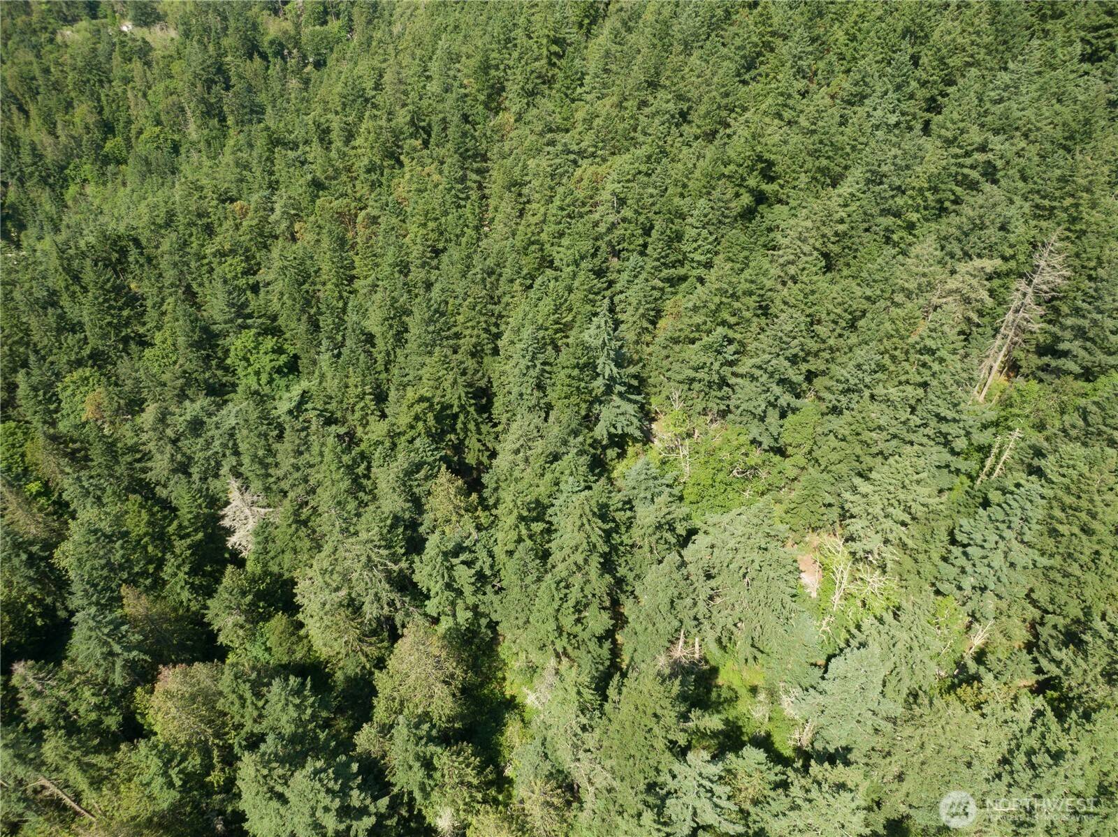 Anacortes, WA 98221,7280 Muriel Lane