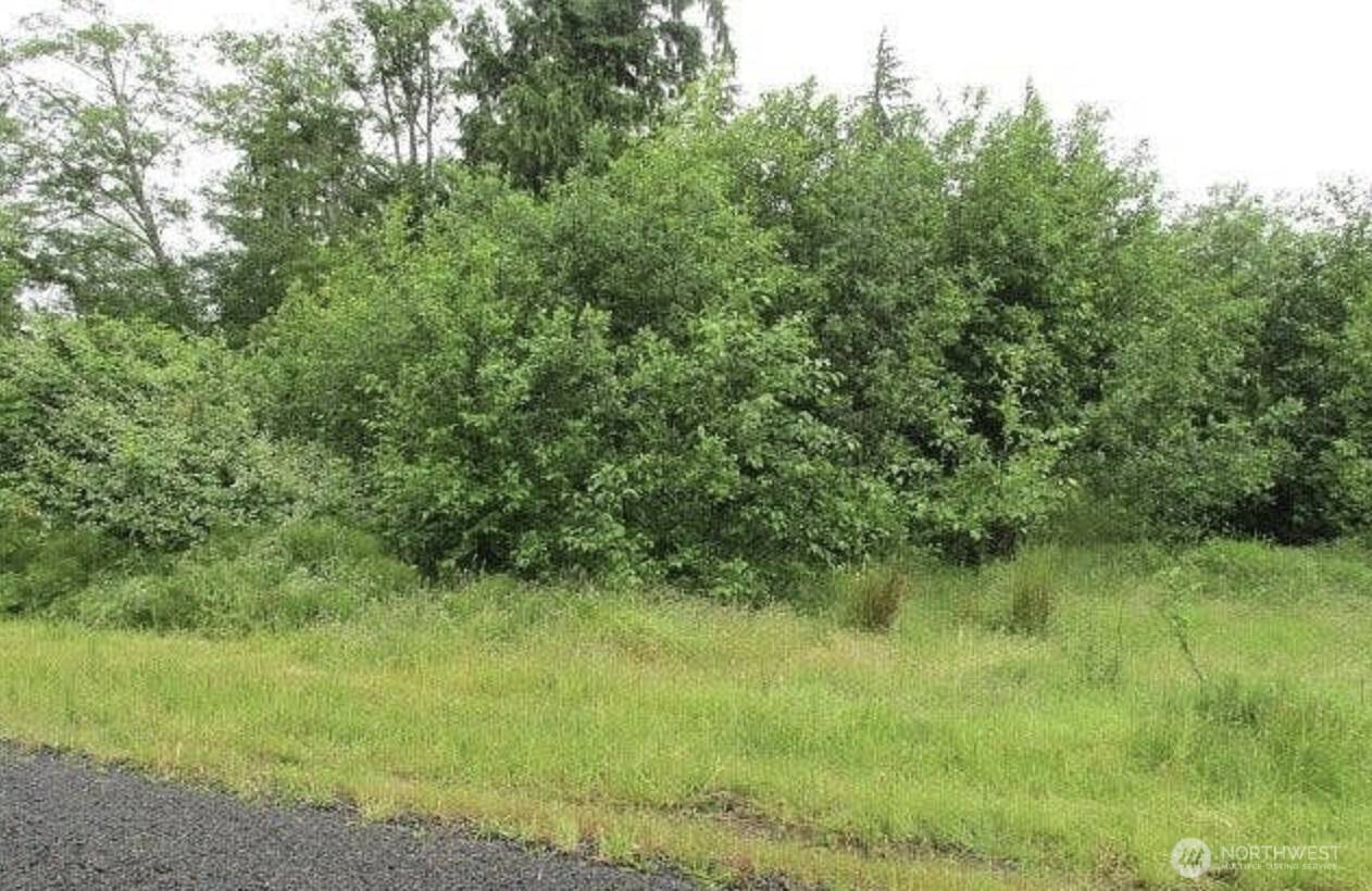 Aberdeen, WA 98520,0 Lomax ST