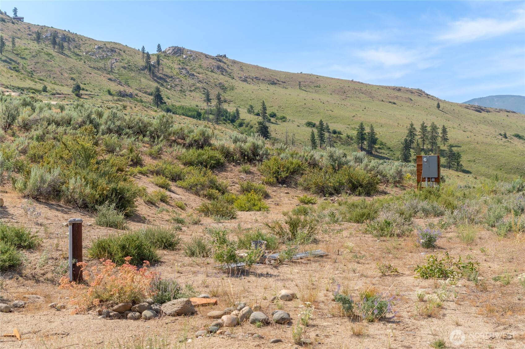 Pateros, WA 98846,15 Cowboy RD