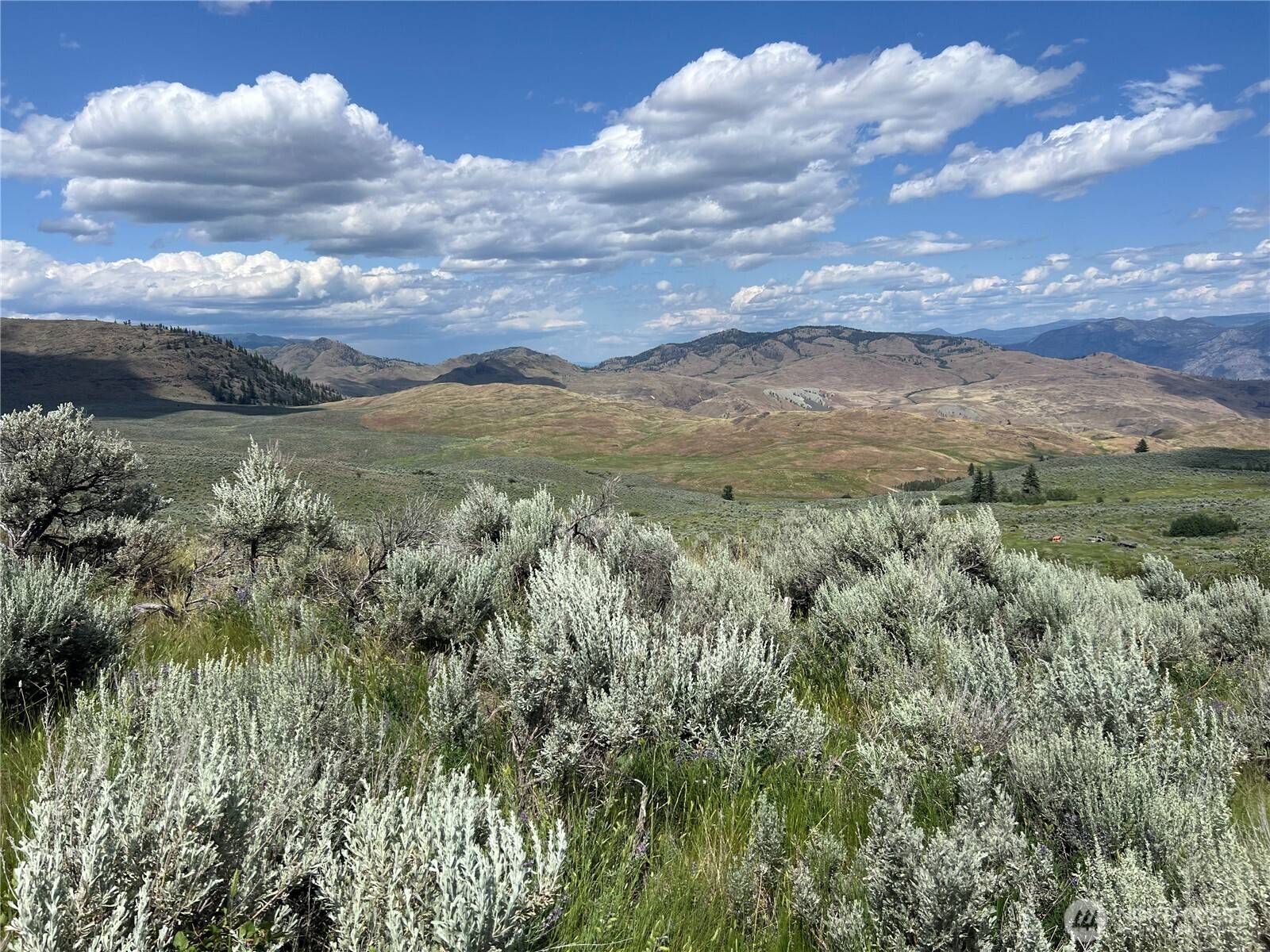 Oroville, WA 98844,0 TBD Ellemeham Mtn RD