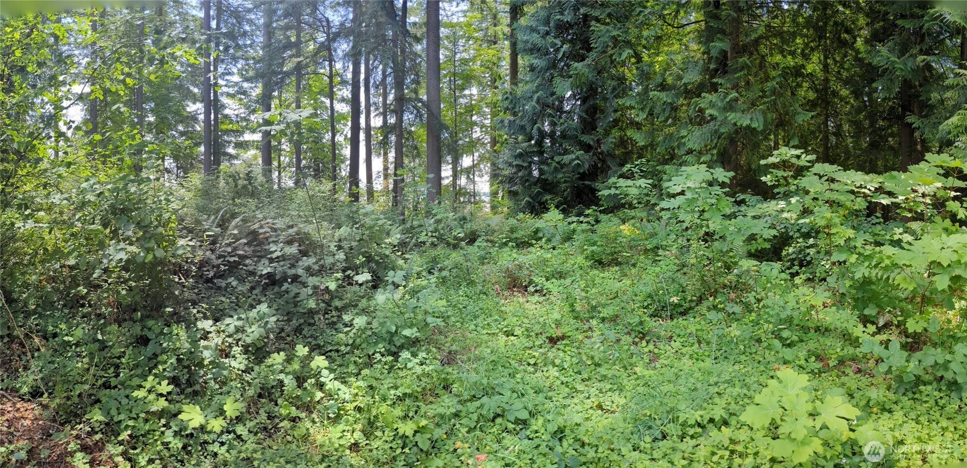 Lacey, WA 98503,4522 Intelco LOOP SE