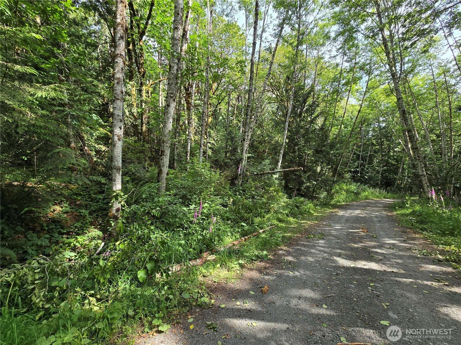 Lilliwaup, WA 98555,0 XXX Triton Heights RD