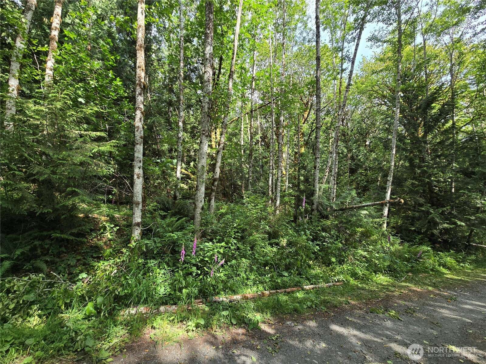 Lilliwaup, WA 98555,0 XXX Triton Heights RD