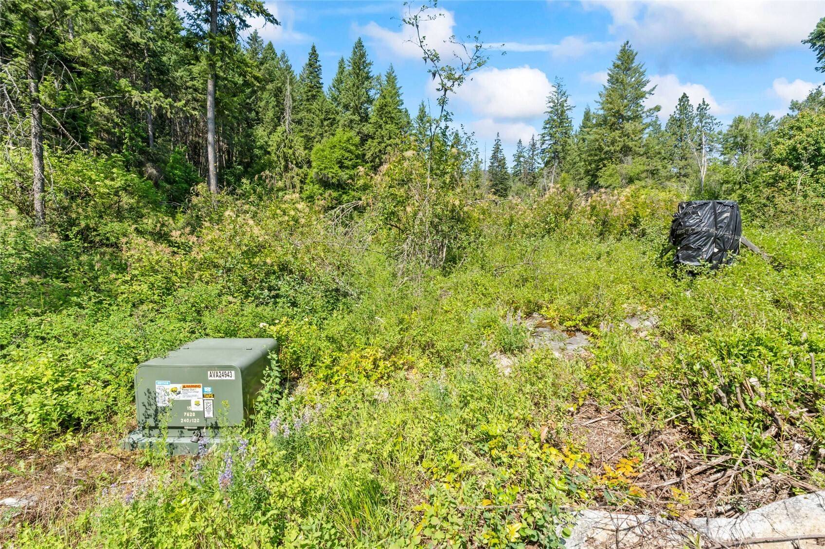 Kettle Falls, WA 99141,8 XX Nancy Creek Rd.
