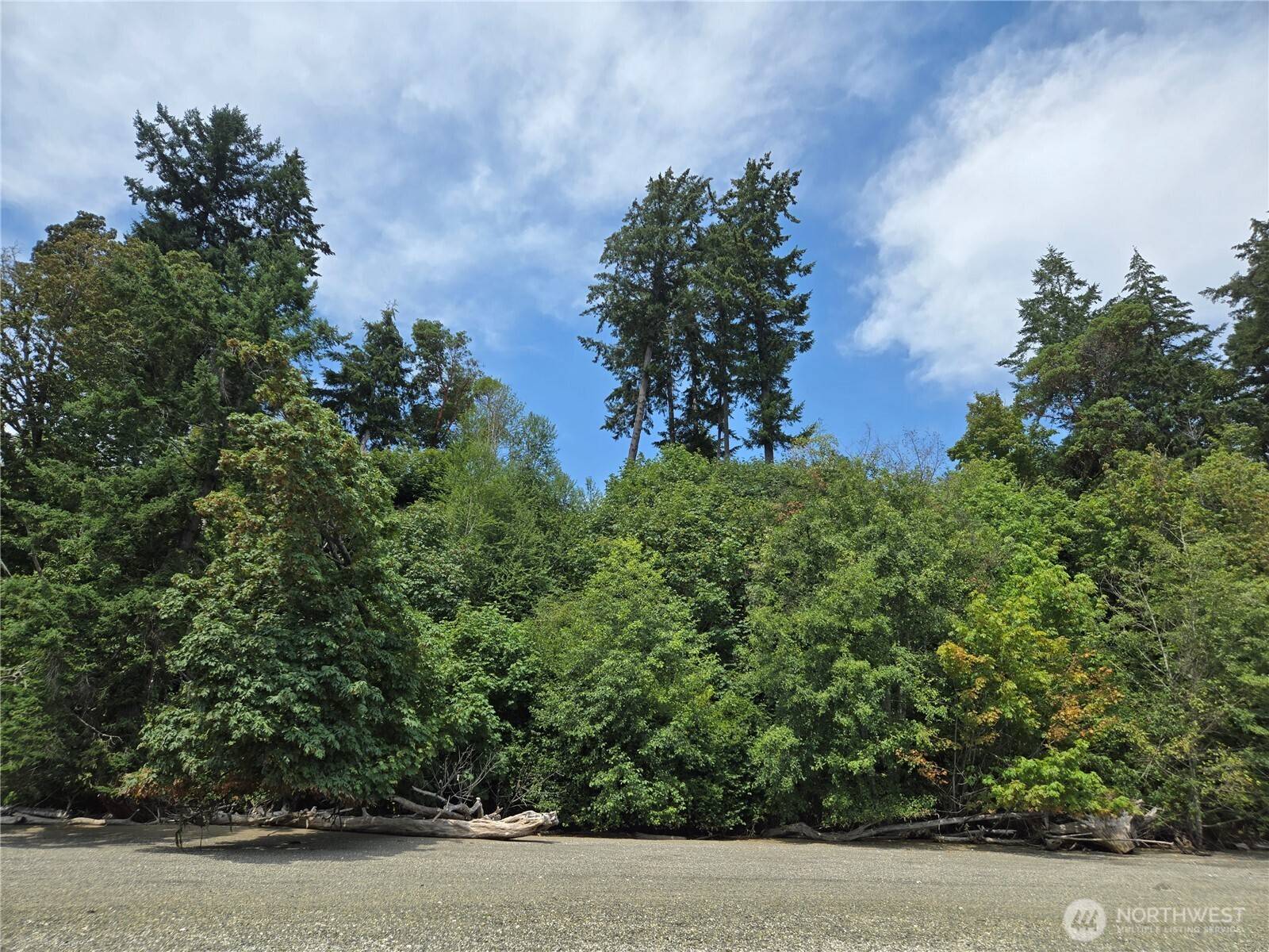 Lakebay, WA 98349,14528 45th ST SW