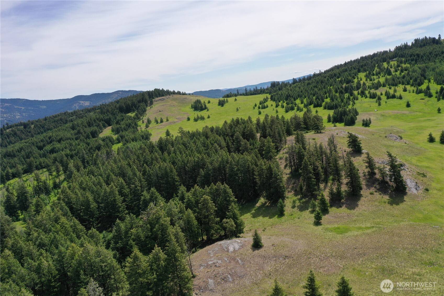 Oroville, WA 98844,37 Turner Homestead Rd