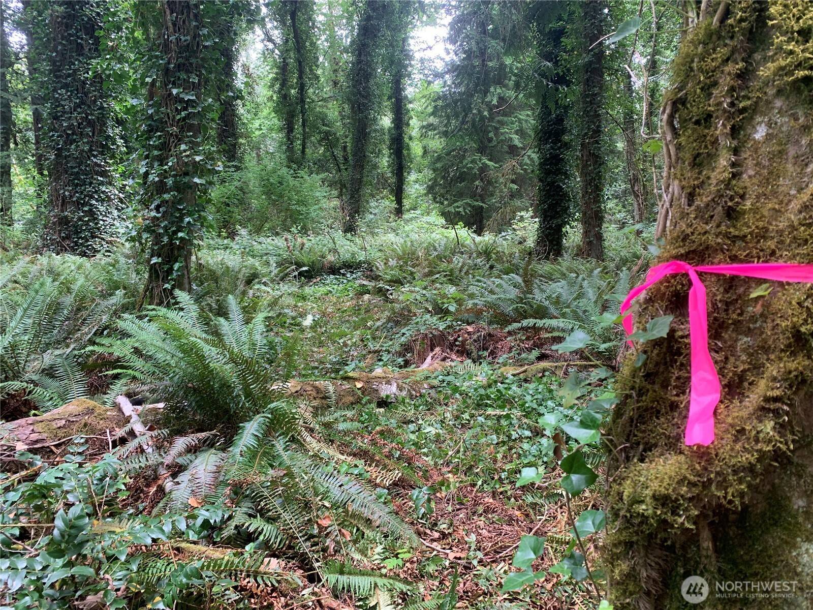 Lakebay, WA 98349,19 xx F ST NW