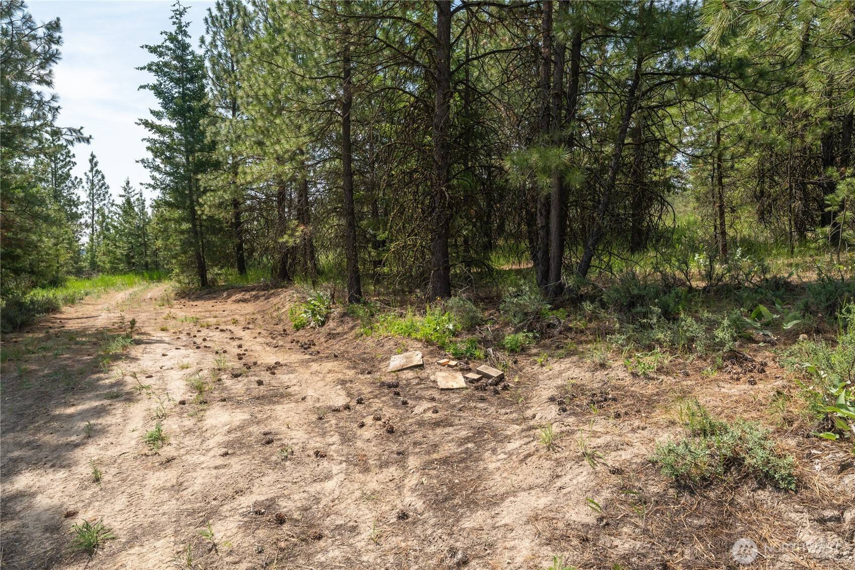 Chelan, WA 98816,0 NHN Watson LN