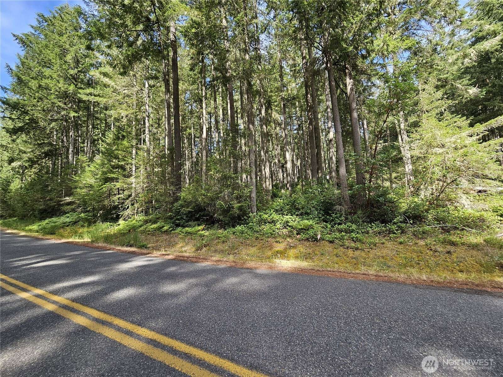 Anderson Island, WA 98303,12717 Camus DR
