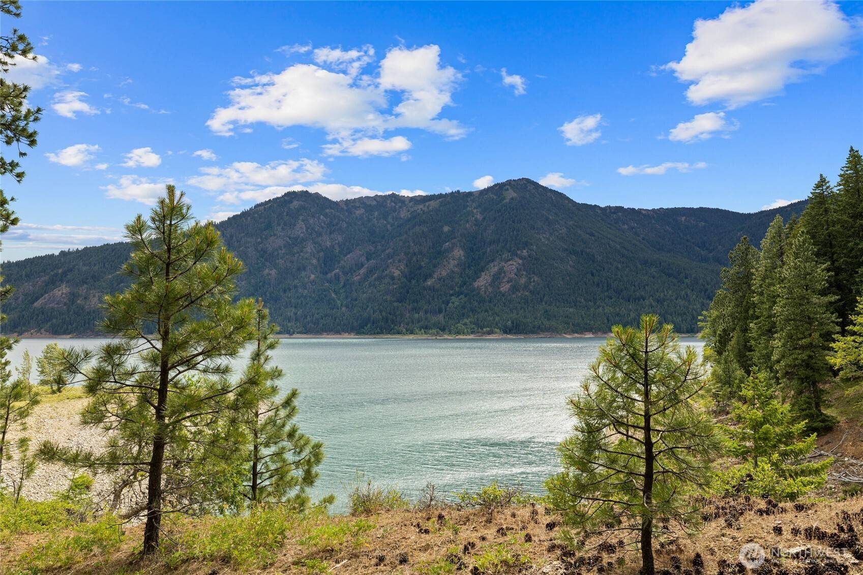 Ronald, WA 98940,16341 Salmon La Sac RD
