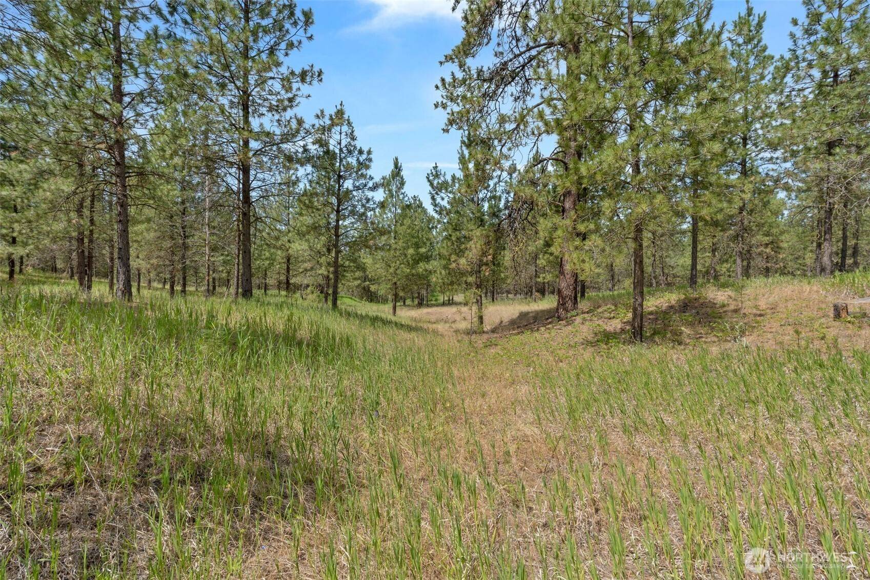 Ford, WA 99013,5285 Hwy 231 #D