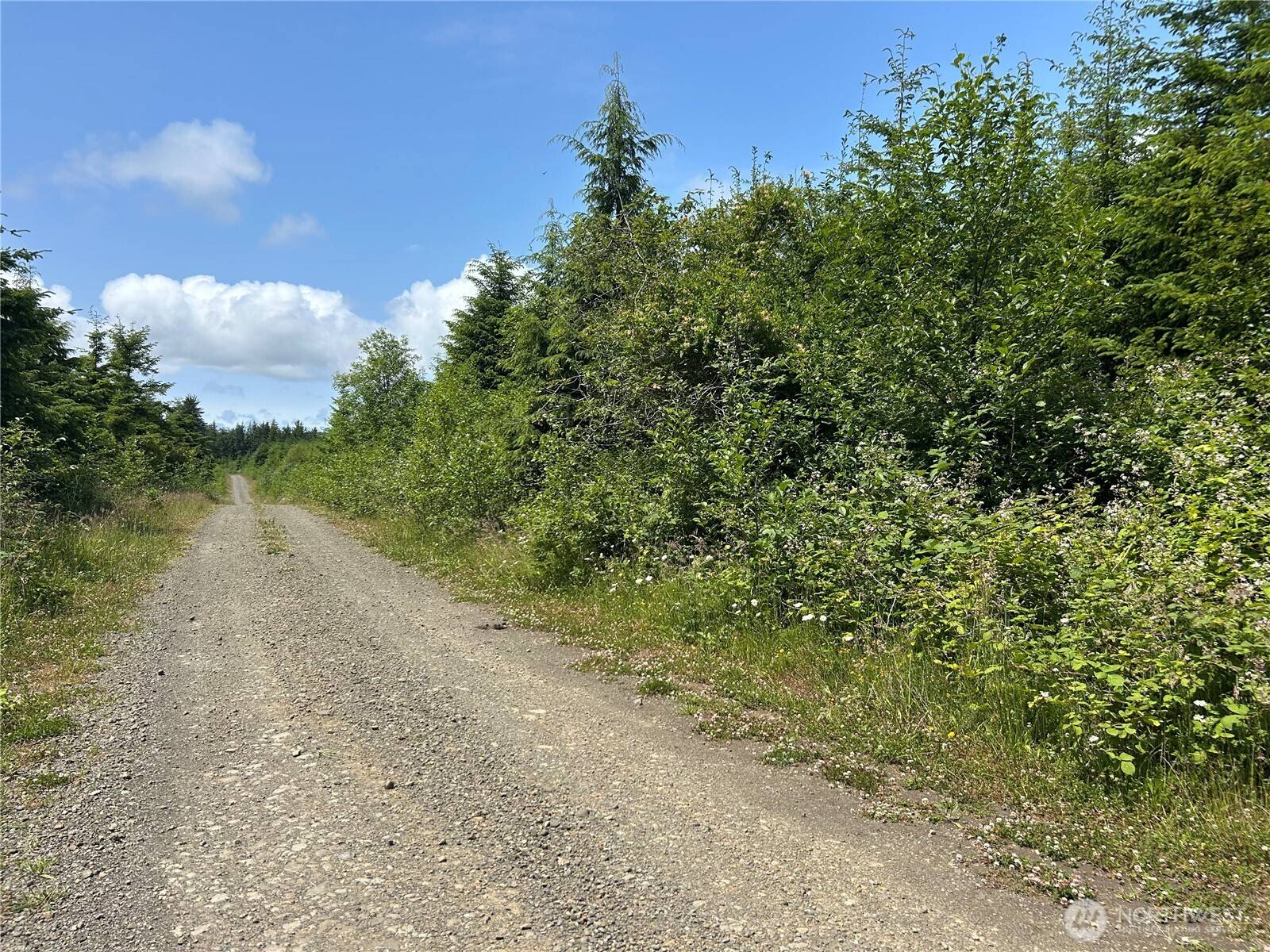 Ilwaco, WA 98614,0 Walberg RD