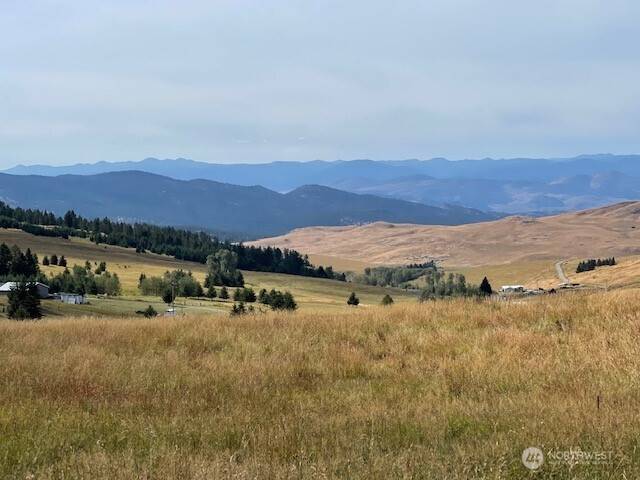 Oroville, WA 98844,111 TBD Davies RD