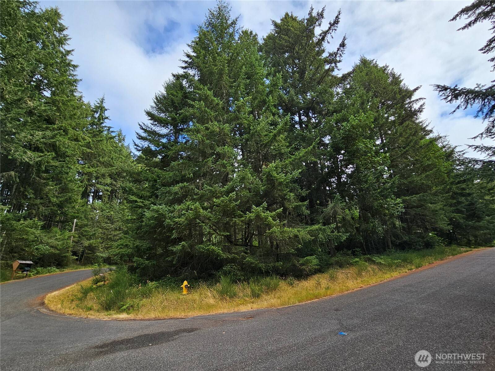 Anderson Island, WA 98303,9325 123rd AVE