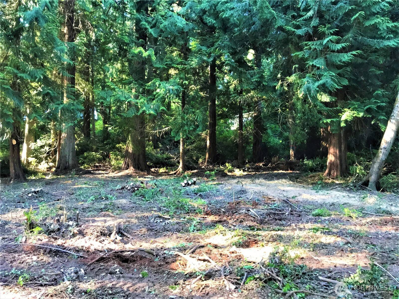 Anderson Island, WA 98303,10603 Lakeshore DR