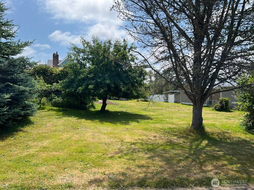 Toledo, WA 98591,19 Augustus ST