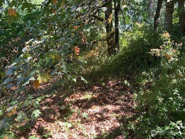 Sammamish, WA 98029,4762 Issaquah-Pine Lake Rd SE